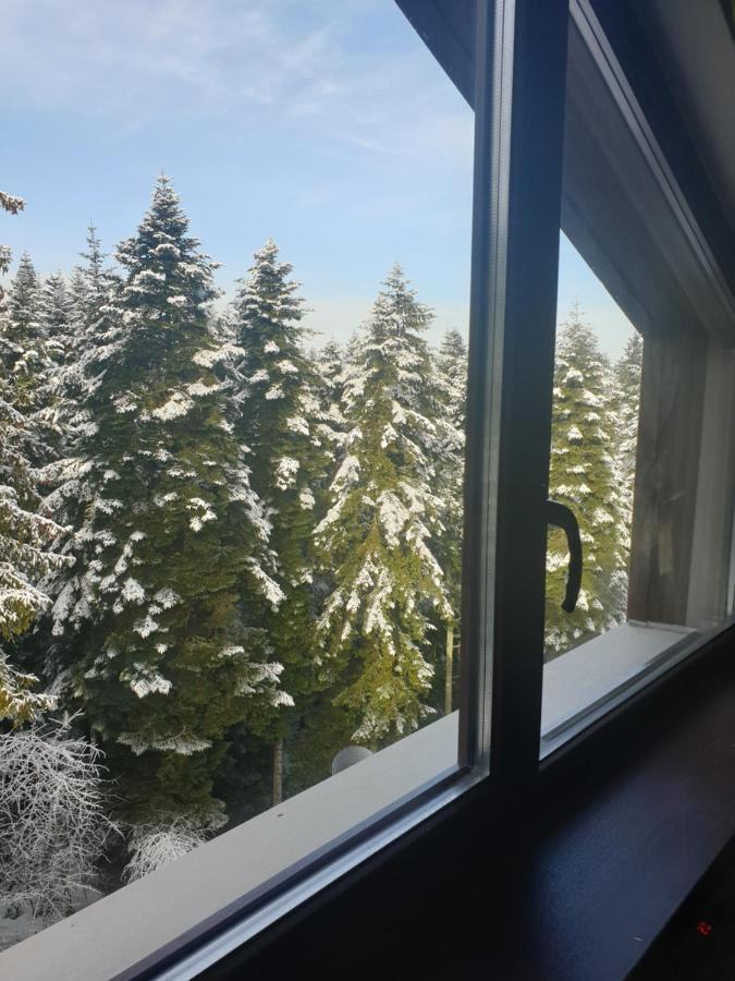 Borovets Forest View Esterno foto