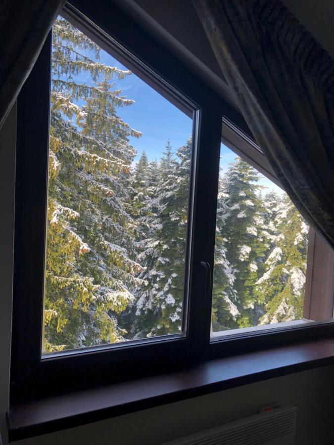 Borovets Forest View Esterno foto