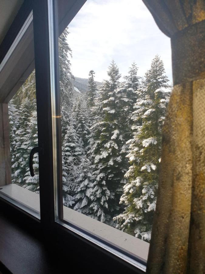 Borovets Forest View Esterno foto